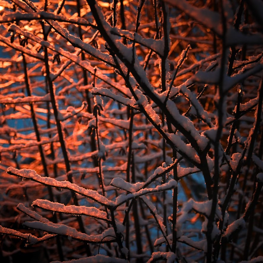 Lumière hivernale