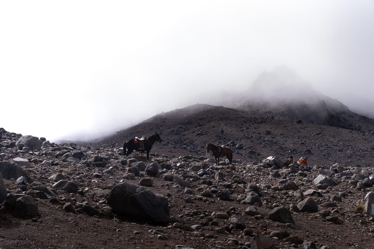 Reportage, Chimborazo