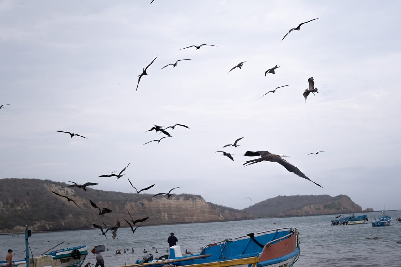 Reportage, Côte Pacifique