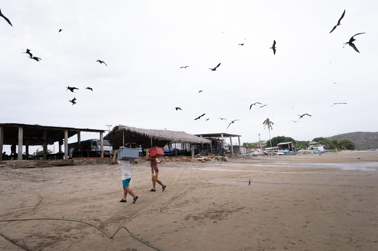 Reportage, Côte Pacifique