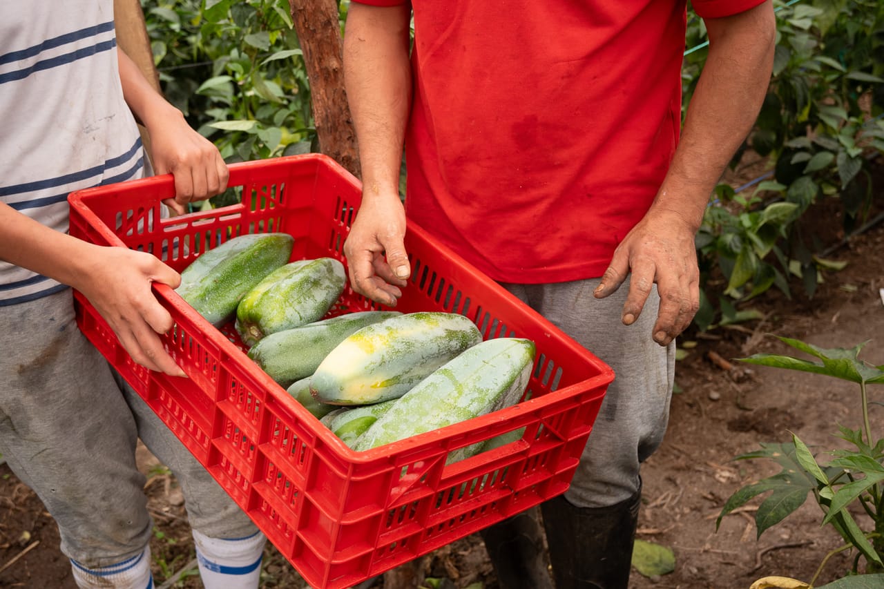 Reportage, ferme familiale