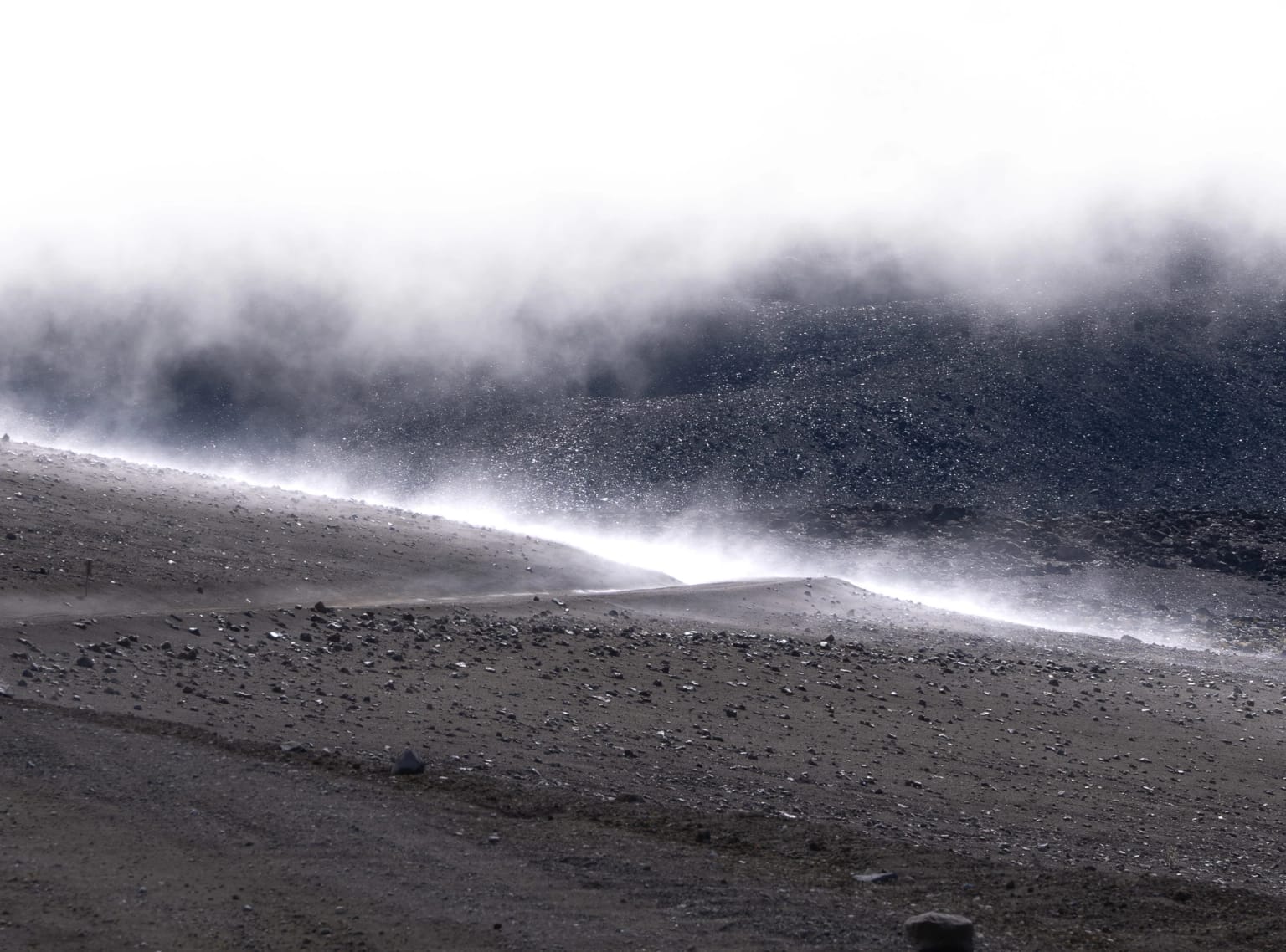 Reportage volcan Chimborazo, détail du parc 1