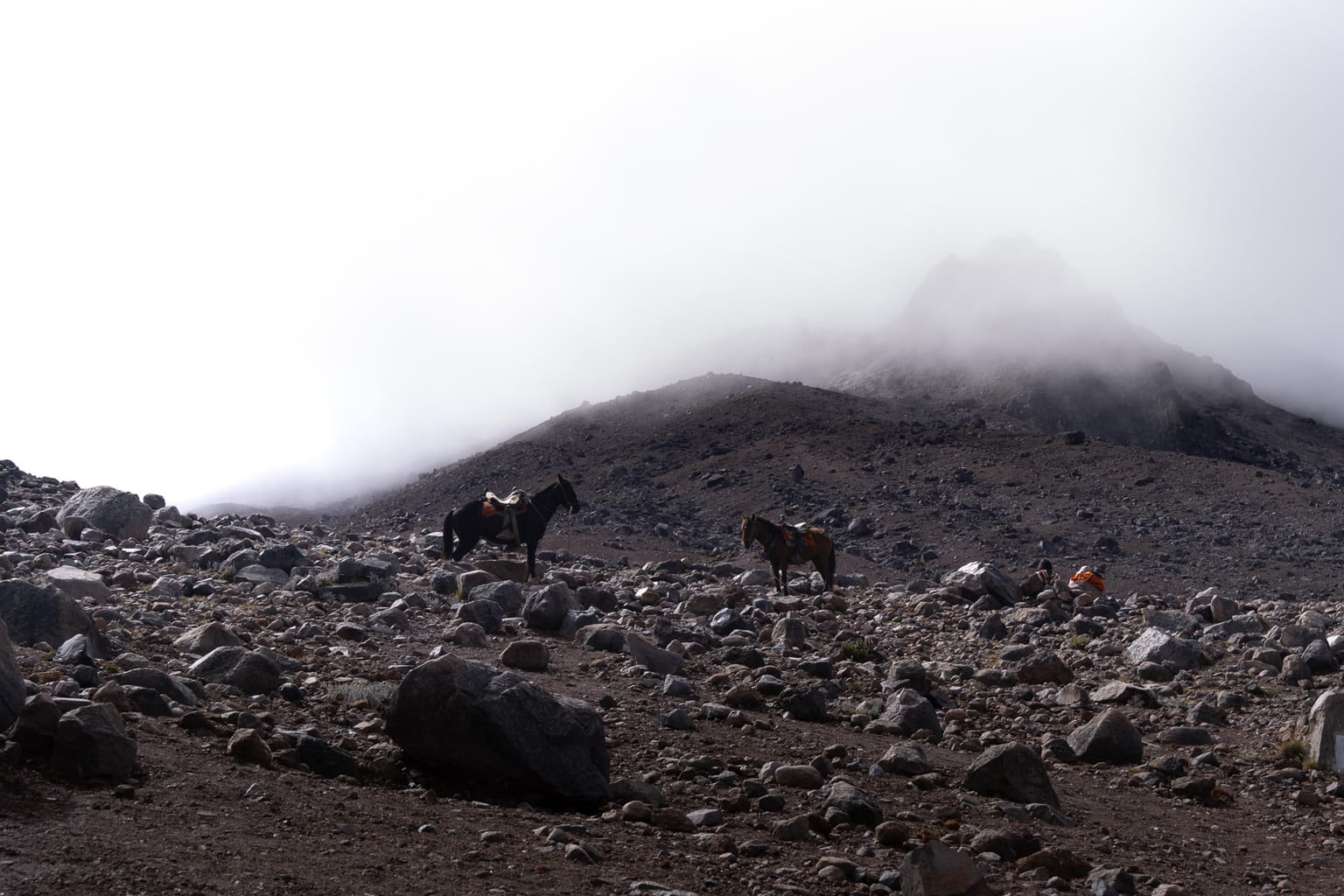 Chimborazo détail 2