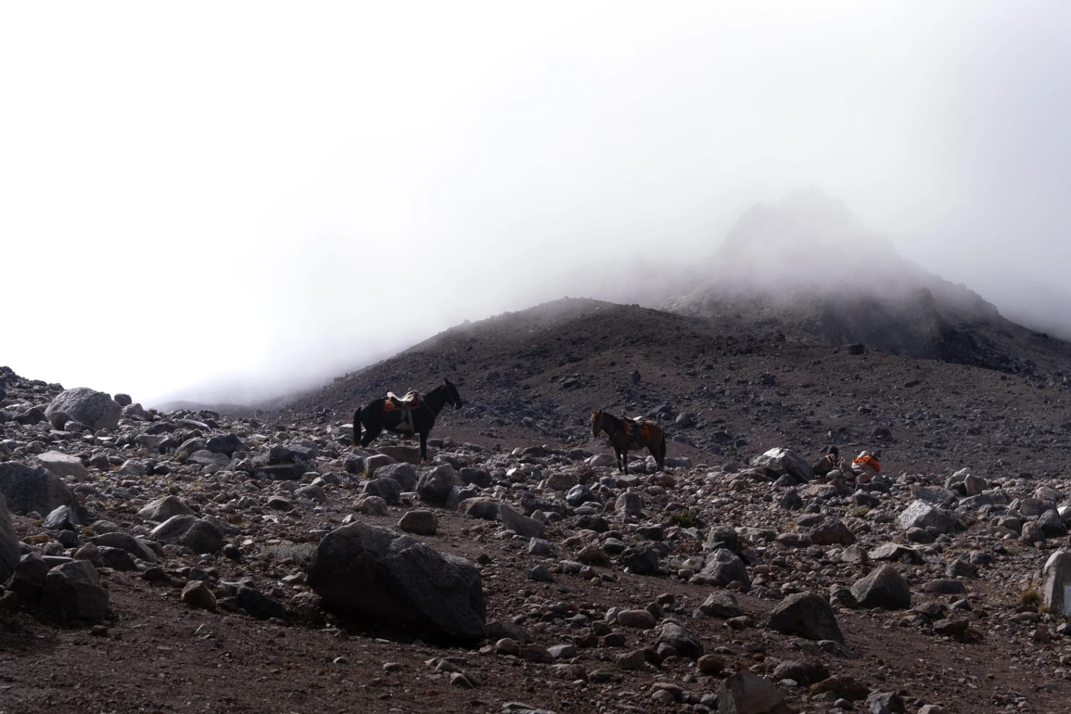 Reportage volcan Chimborazo, détail du parc 2