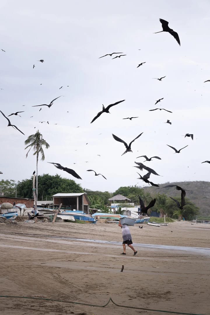 Détail reportage sur la Côte Pacifique Équateur
